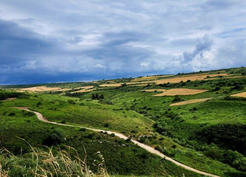 Israel Off-Roading (4×4) Adventures That Show You More